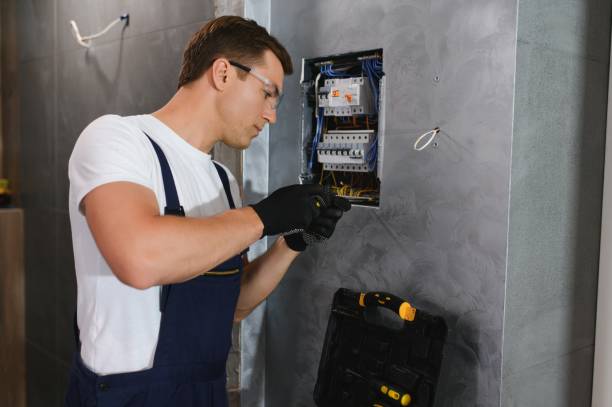 Best Electric Panel Repair  in Mustang Ridge, TX